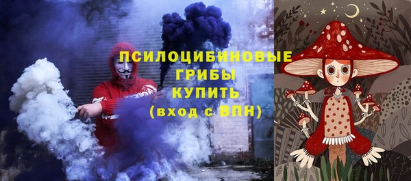 apvp Балахна